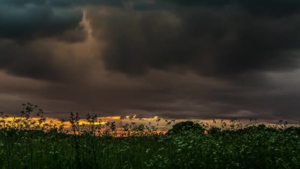 夕日の田園地帯で緑の草原の上にタイムラプスで黒い雨の雲の動きを表示します 緑の畑の上に積もっている — ストック動画