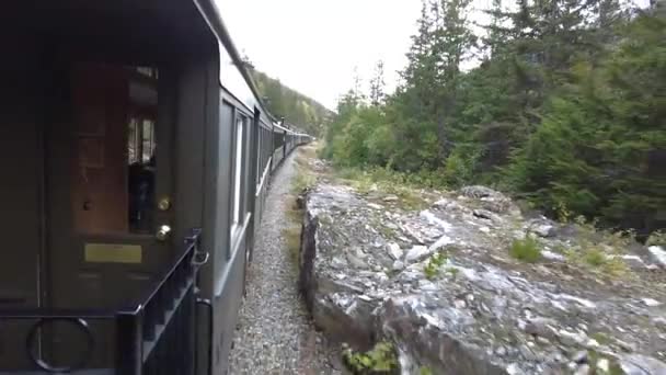 Pov Vlak Záběr Během Jízdy Divočinou Aljašky Během Dne Idylická — Stock video