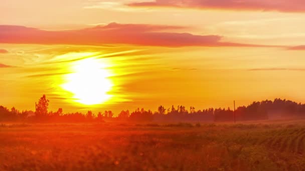 Incrível Período Dramático Pôr Sol Sobre Campos Terras Agrícolas — Vídeo de Stock