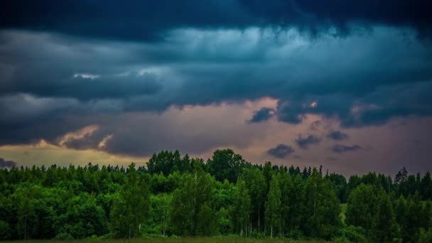 Tempo Dramático Nuvens Tempestade Cinzentas Escuras Sobre Uma Floresta Natureza — Vídeo de Stock
