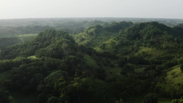 空中无人驾驶飞机俯瞰着浓密的热带雨林 晨雾和阳光映衬着 Los Haitises 多米尼加共和国 — 图库视频影像