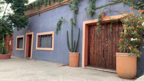 Puerta Madera Una Casa Azul Entodos Santos México — Vídeos de Stock