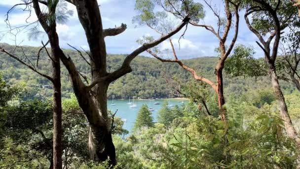Vista Una Tranquila Cuenca Oceánica Australia — Vídeo de stock