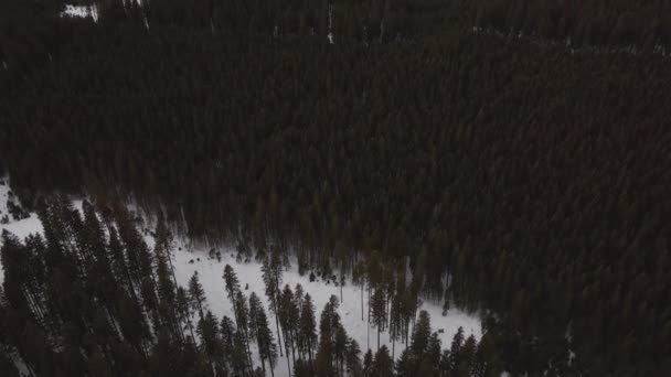 Природа Захвачена Беспилотником Пейзажем Горы Покрыты Снегом Золотой Час Восходе — стоковое видео