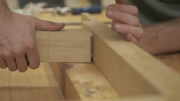 Stolarze Ręce Suche Dopasowane Drewna Dębowego Razem — Wideo stockowe
