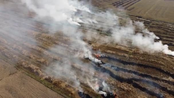 Burning Stubble Nepal Drone Voando Através Uma Névoa Espessa Poluição — Vídeo de Stock