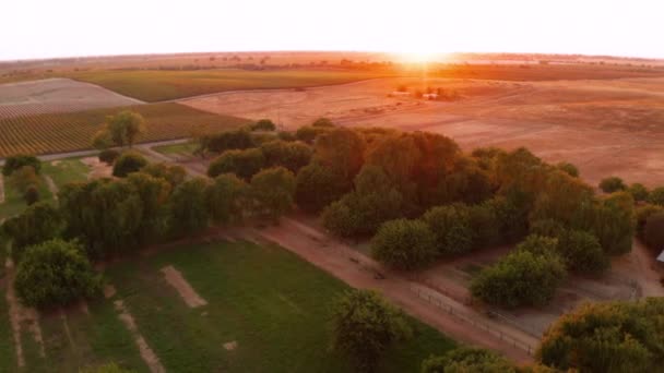 Een Feloranje Zonsondergang Gloeit Het Pittoreske Californische Landbouwland — Stockvideo