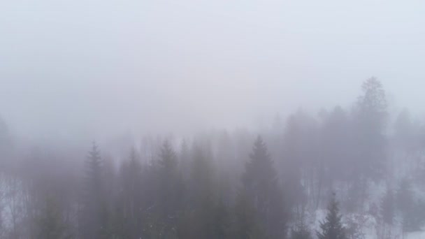 Tunga Foggy Moln Täcker Mountain Forest Vintern Flygplan — Stockvideo