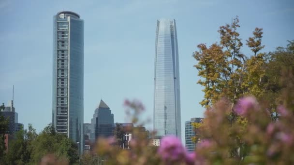 Buske Blomster Forgrunden Moderne Skyskrabere Baggrunden Ved Dagtimerne Santiago Chile – Stock-video