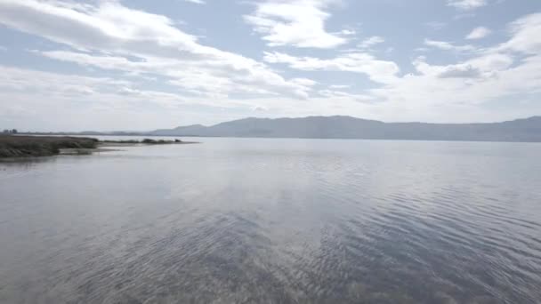Wideo Dronem Nad Jeziorem Skadar Albanii Opisowy Przedni Samolot Poruszający — Wideo stockowe