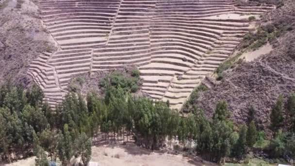 Flygfoto Över Incan Ruins Jordbruksterrass Solig Dag Pisac Peru — Stockvideo