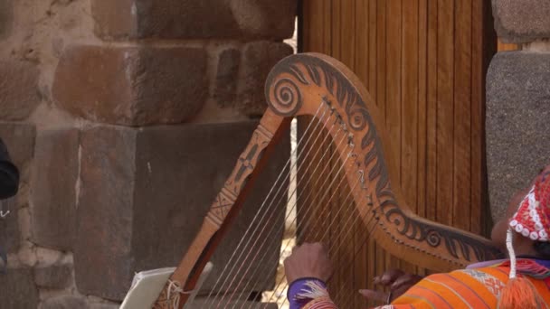 Side View Peruvian Man Traditional Native Clothes Playing Harp Doorway — Stockvideo