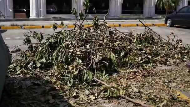 Fallen Branches Damaged Facade Typical Damage Left Typhoon Odette Rai — Stock Video