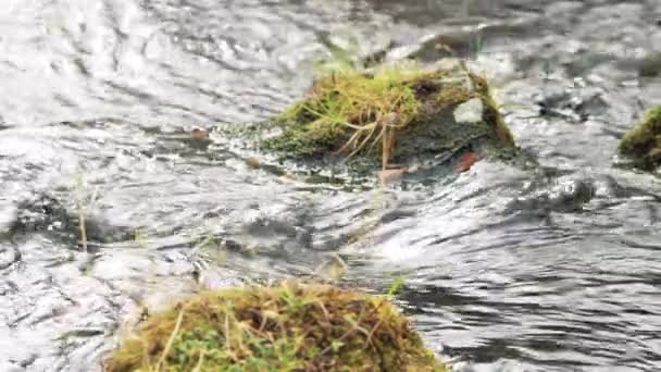 清澈的河流流淌的各种镜头 — 图库视频影像