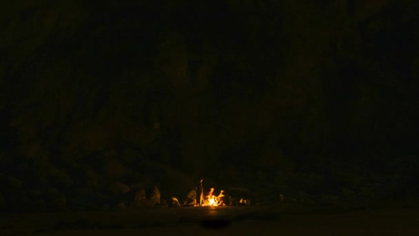 Grup Karanlıkta Şenlik Ateşinin Etrafında Oturuyor Sahilde Arkadaşların Toplanışı — Stok video