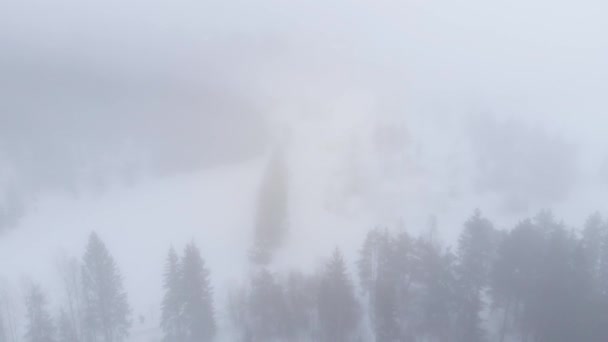 Een Koude Atmosfeer Een Mistig Winterwoud Terugtrekken Vanuit Lucht — Stockvideo