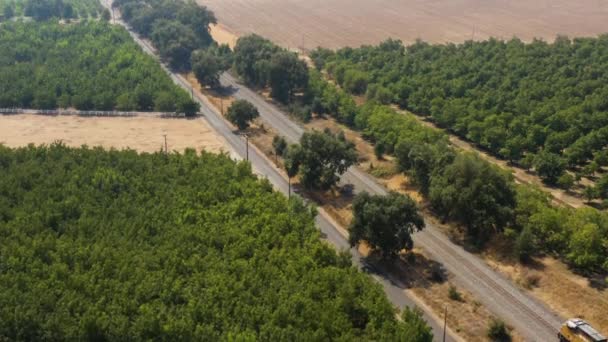 Descenso Drones Pasar Tren Carga Junto Una Granja Con Árboles — Vídeos de Stock