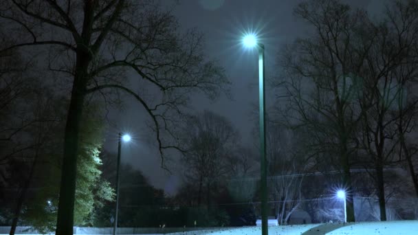 Τρομακτική Νύχτα Του Χειμώνα Χιόνι Φώτα Του Δρόμου Στα Προάστια — Αρχείο Βίντεο