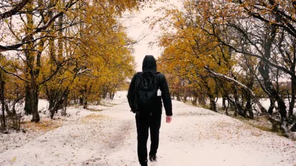 Mens Loopt Besneeuwd Pad Omringd Door Gouden Herfstbomen — Stockvideo