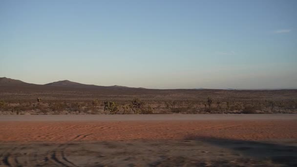 Dirigindo Longo Deserto Mojave Olhando Para Janela Passageiro Uma Floresta — Vídeo de Stock