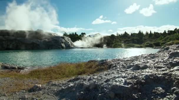 Geothermische Vallei Puia Met Geiser Zwembad Zonnige Dag Whakarewarewa — Stockvideo