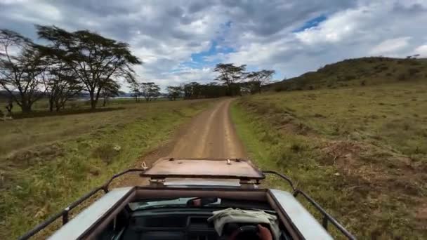 Safari Tout Terrain Hors Route Par Une Journée Ensoleillée Dans — Video