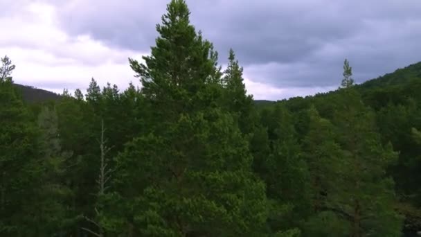 Luchtdrone Stijgt Door Bomen Rivier Schotse Hooglanden Onthullen — Stockvideo