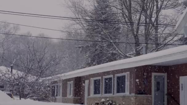 Schneesturm Stürzt Auf Beachwood Muskegon — Stockvideo