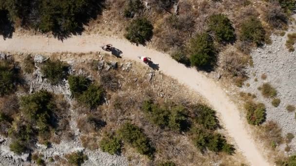 Top View People Riding Bicycle Leidt Naar Krka National Park — Stockvideo