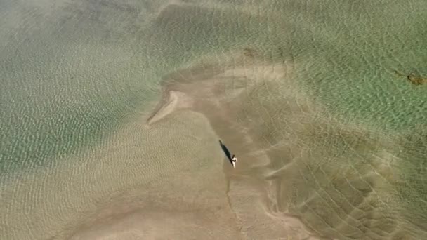 ギリシャのElafonissiビーチの浅い水の上を歩く孤独な女性 空中上昇 — ストック動画