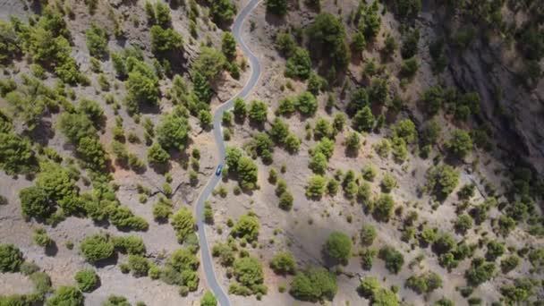 Coche Pasajeros Largo Camino Sinuoso Paisaje Árido Con Árboles Arbustos — Vídeos de Stock