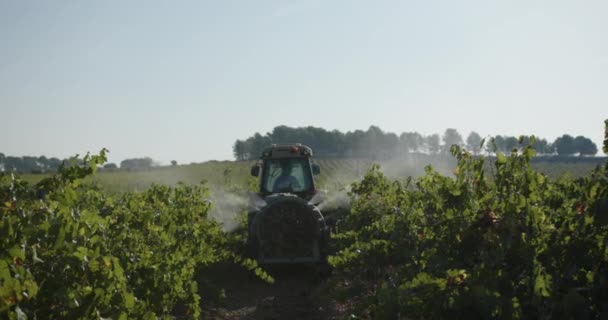 Agricultura Pulverización Tractores Campo Viñedos Con Pulverizador Herbicidas Sostenibles Pesticidas — Vídeo de stock