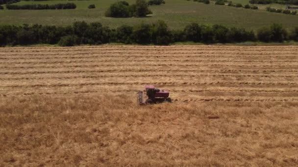 Červený Traktor Seká Trávu Letecký Pohled Sledování Výstřel — Stock video