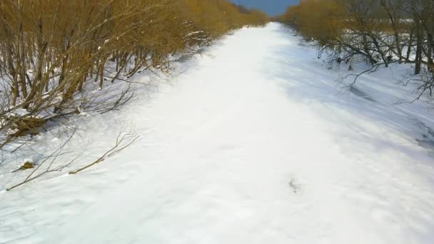 Vista Panorámica Del Río Cubierto Nieve Congelada Hokkaido — Vídeos de Stock