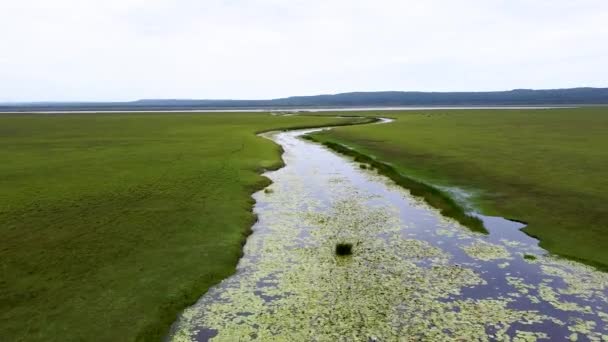 Tiefflüge Der Nähe Des Flusslaufs Auf Einer Ausgedehnten Offenen Feuchtgebietsebene — Stockvideo