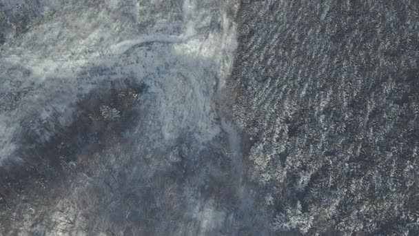 Aerial Winter Snow Landscape Barren Trees Hokkaido Top Pan Reveal — Stock Video