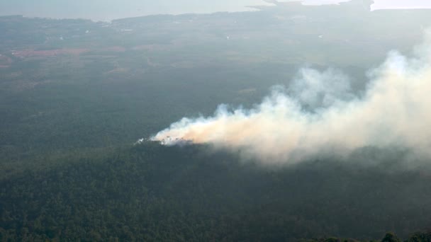 캄보디아 아시아 공원의 산비탈에 내리고 파괴되는 바람에 불어서 — 비디오