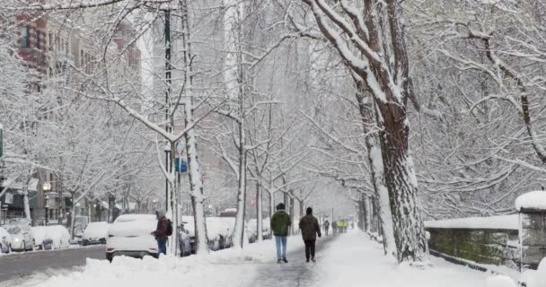 Ludzie Chodzą Chodniku Wzdłuż Central Parku Nowy Jork Śniegu — Wideo stockowe