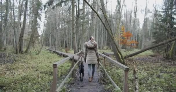 Mladá Žena Kráčí Přes Krok Svým Psem — Stock video