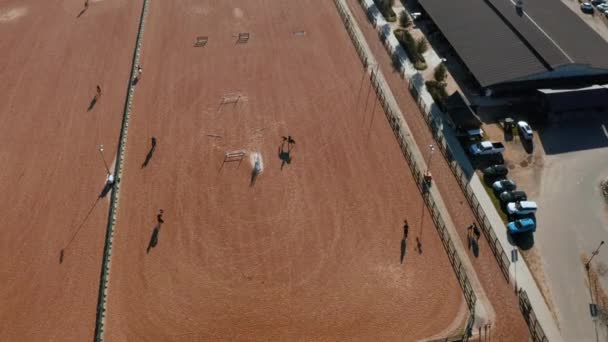 Prise Vue Aérienne Cavaliers Saut Obstacles Pratiquant Dans Anneau Scolaire — Video