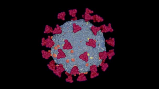 Virusul Corona Covid Sars Covid Virus Animation — Videoclip de stoc