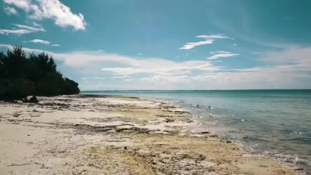 Гладко Вперед Повільно Піднімається Безпілотний Постріл Полудень Самотньому Пляжі Птахів — стокове відео