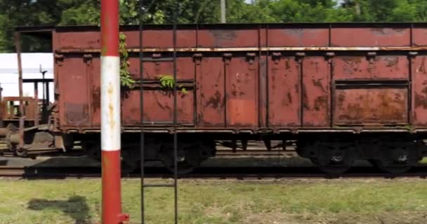 Δυναμική Gimbal Shot Από Ένα Σκουριασμένο Κατεστραμμένα Σιδηροδρομικά Αυτοκίνητα — Αρχείο Βίντεο