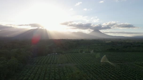 黄金の時間の太陽の光は 農業分野 レンズフレア 空中に山のピークを通して輝きます — ストック動画