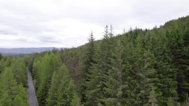 Dron Powietrzny Wznoszący Się Nad Lasami Widokiem Drogę Wielkiej Brytanii — Wideo stockowe