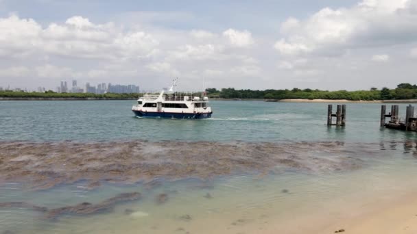 Barco Transbordador Navegando Mar Escénico Tranquilo Cerca Isla John Tiro — Vídeo de stock