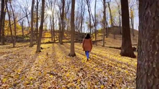 Φθινόπωρο Στη Μινεσότα Ταξίδια Κορίτσι Βίντεο Περπάτημα Ένα Δάσος — Αρχείο Βίντεο