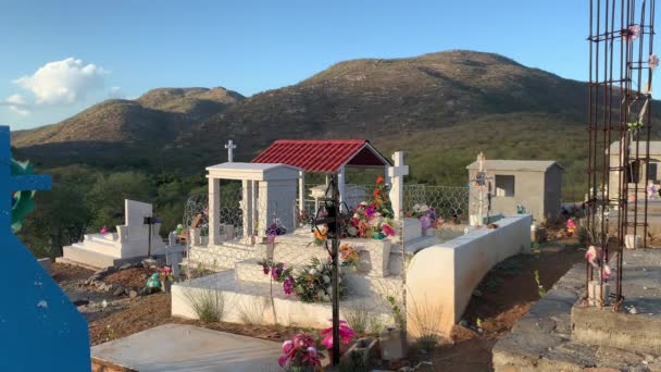 Fiori Una Tomba Nel Pantheon Municipal Cemetary Mexico — Video Stock