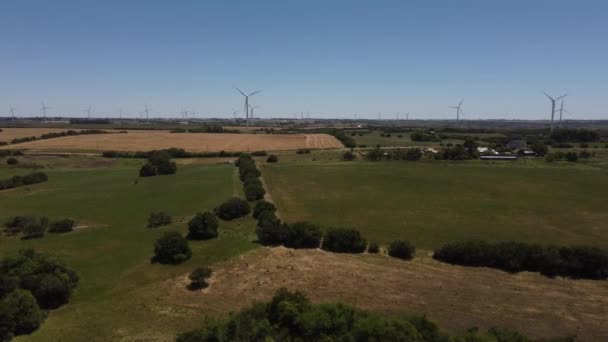 Flygfoto Över Fält Och Vindkraftverk Gård Uruguay — Stockvideo