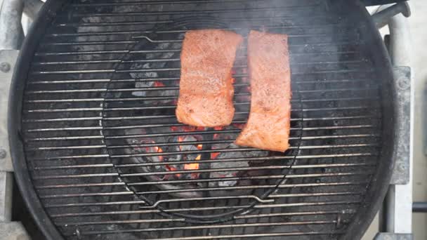 Placing Marinated Salmon Fillets Hot Barbecue Sear Flavor Overhead View — Stock Video